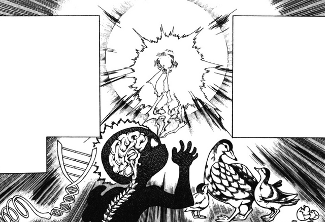 Arquivo:Leque-auréola da Mãe Sagrada explicação.png