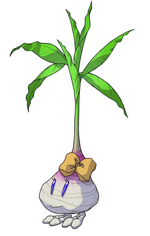File:Ms-radish2.jpg