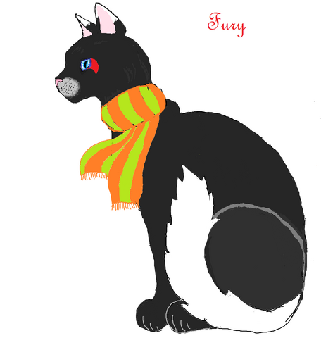 Файл:Fury.png