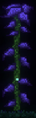 Thumbnail for version as of 02:38, February 17, 2014