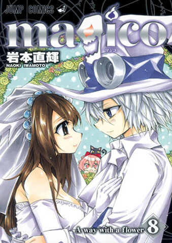 File:Vol 8.jpg