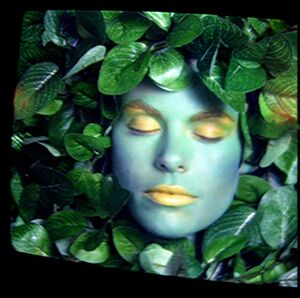 MagicQuest green leaf lady