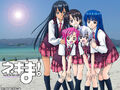 Thumbnail for version as of 21:00, January 15, 2011