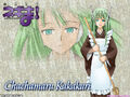 Thumbnail for version as of 21:02, January 15, 2011