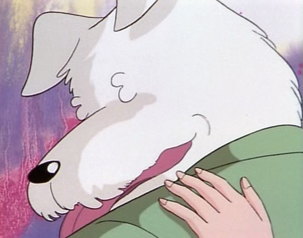 File:Soichiroliterally.png