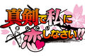 Thumbnail for version as of 18:31, January 17, 2012