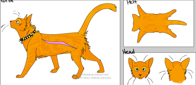 File:Harshstar.png