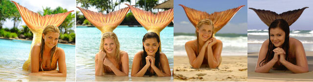 File:FotoFlexer Photo.jpg