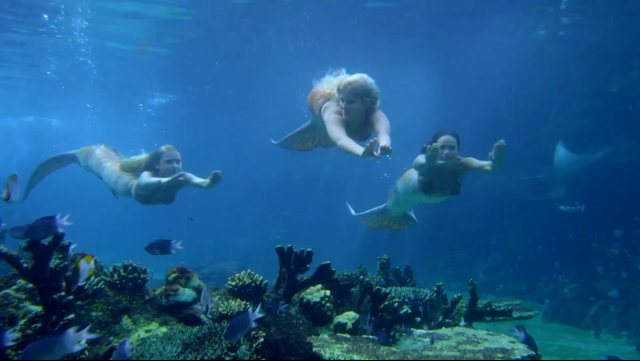 File:Ondina Sirena Mimmi Diving.png
