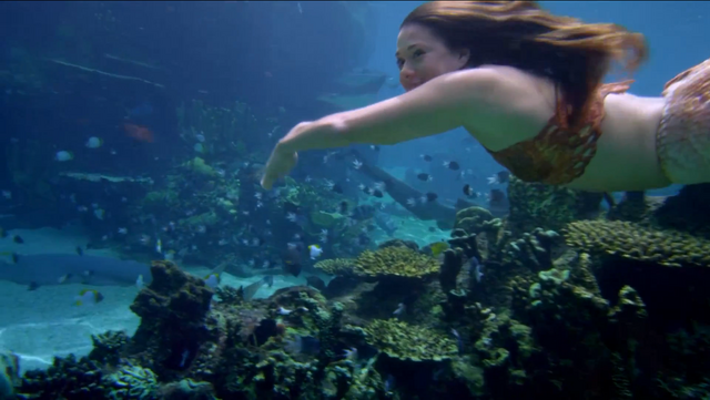 File:Evie diving.png