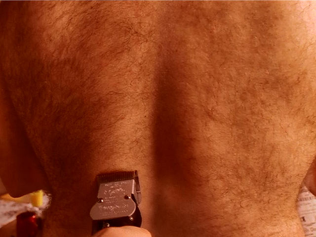 File:Hal's Hairy Back (Yegch!!!).png