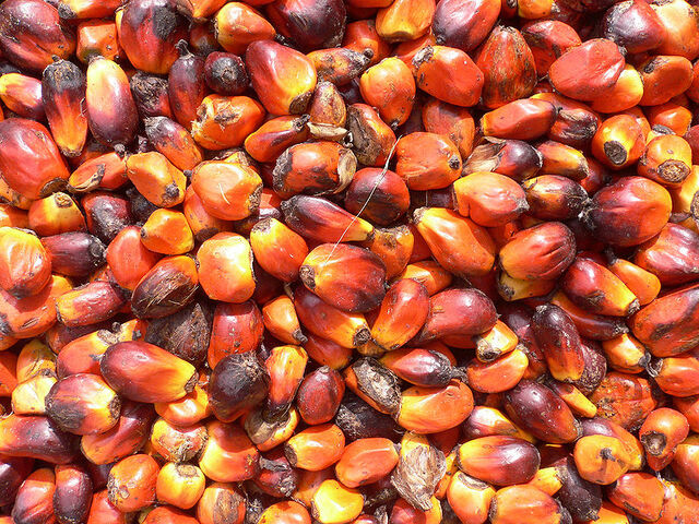 File:Palm nuts.jpg