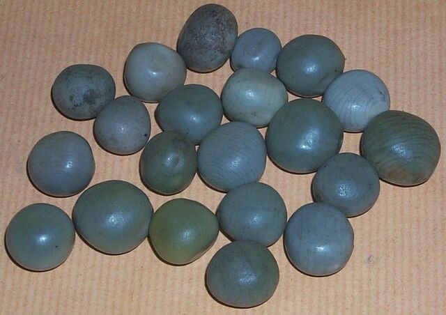 File:Seeds c bonduc.jpg