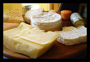 Delicious Cheese