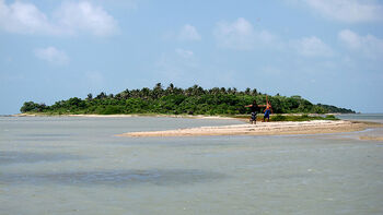 Desert Island