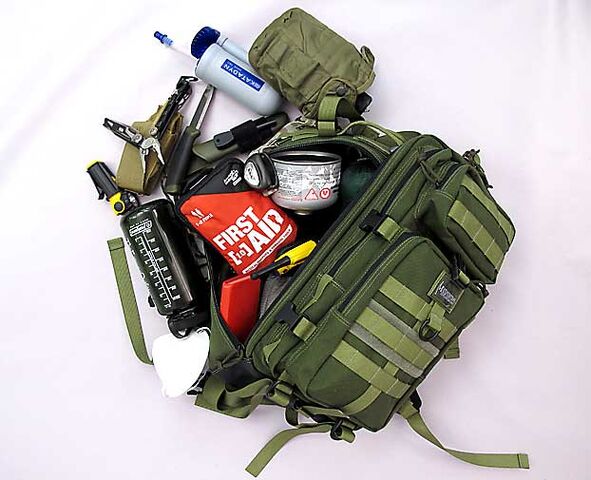 File:Bug out bag.jpg