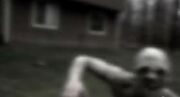 Rake1