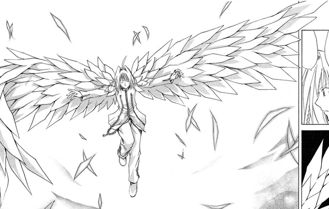 File:Ailes'd Angel.png