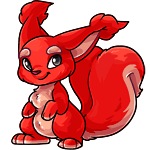 Knutt red
