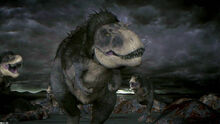 MotD Albertosaurus