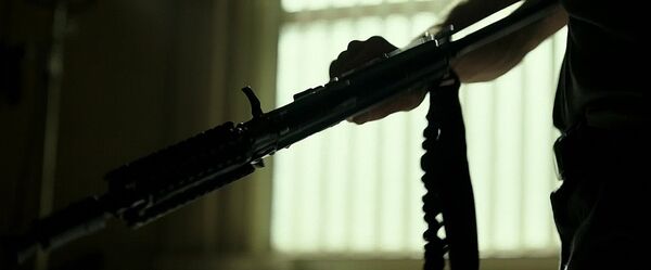 PurgeAnarchy hk416