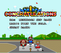 SMK Screenshot Pilz-Cup.png