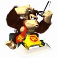 MKDS Donkey Kong