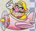 120px-MnW-Wario