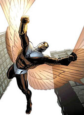 Falcon 003.jpg