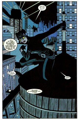 File:Catwoman 0056.jpg