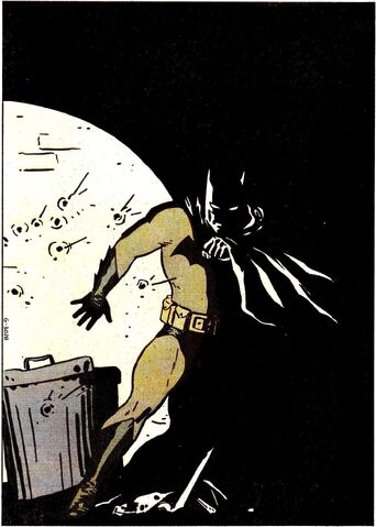 File:Batman 0281.jpg
