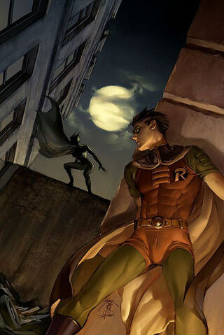 File:Robin Tim Drake 0044.jpg