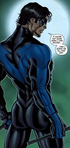File:Nightwing 0085.jpg