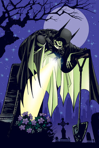 File:Batgirl Cassandra Cain 0041.jpg
