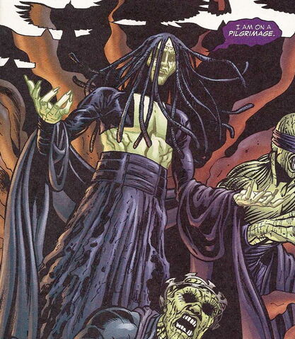 File:Purple Pilgrim 01.jpg
