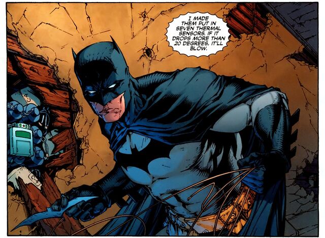 File:Batman 0439.jpg