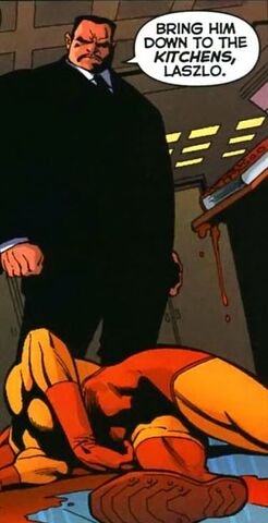 File:Bruno Mannheim New Earth.jpg
