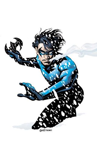 File:Nightwing 0012.jpg
