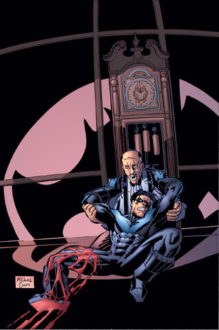File:Nightwing 0032.jpg