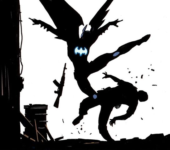 File:Batwing 002.jpg