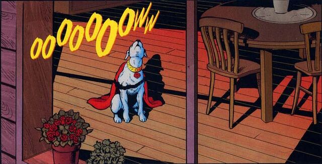 File:Krypto 006.jpg