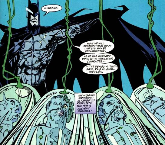 File:Bruce I Joker 003.jpg