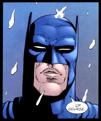 File:Batman 0287.jpg