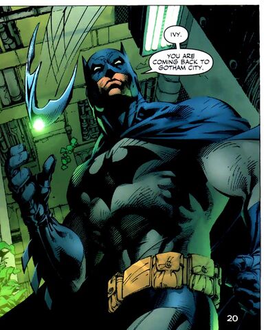 File:Batman 0344.jpg