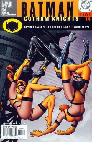 File:Batman Gotham Knights 14.jpg