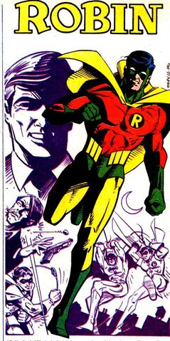 File:Robin Earth-Two 001.jpg