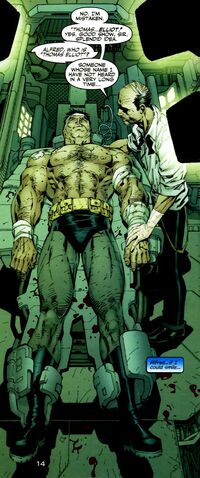 File:Bruce Wayne 034.jpg