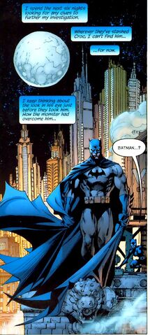 File:Batman 0269.jpg