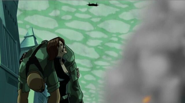 File:Widow Spots Plane UA2.jpg