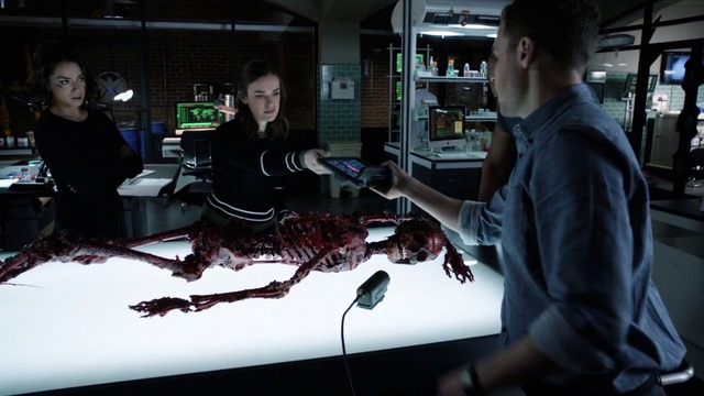 File:PL Lab Skeleton.png